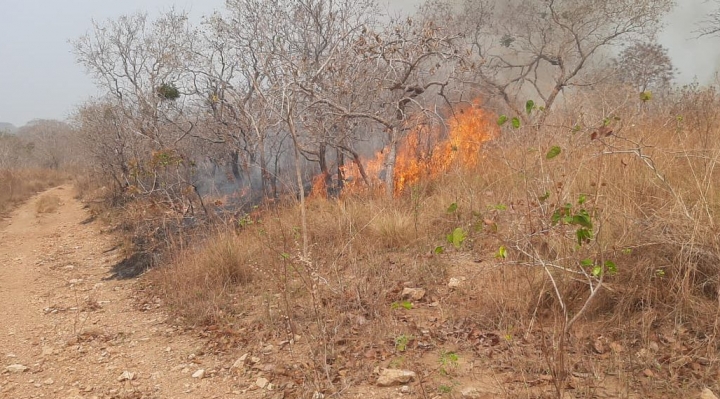 Tres hombres son enviados a Palmasola por provocar incendios en San Ignacio de Velasco