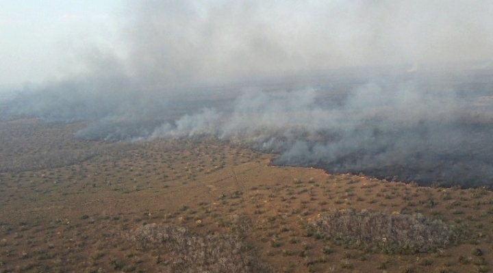 Arce anuncia la llegada de ayuda de Brasil y Chile para combatir incendios