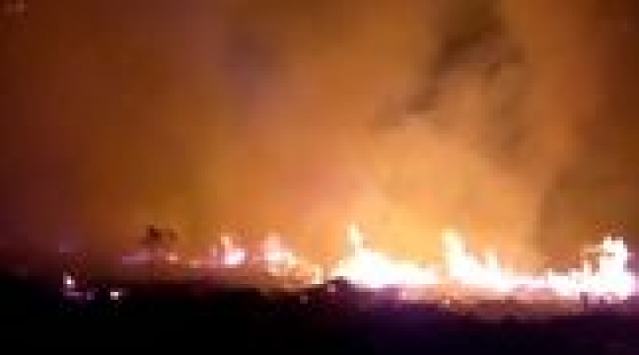 Presunto causante de incendio en la Cordillera de Sama remitido con detención preventiva a penal de Morros Blancos