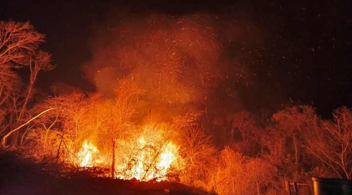 Lectores de Brújula Digital piden al Gobierno declarar desastre nacional por incendios