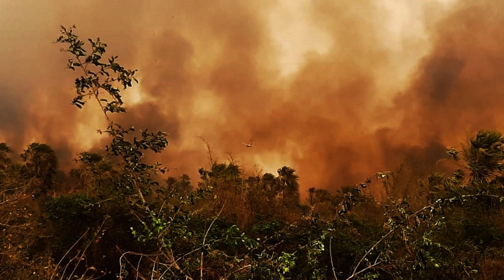 Ante presión interna y externa, Gobierno declara emergencia nacional por los incendios 