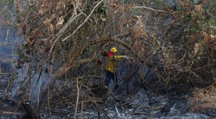 Gobernación de Santa Cruz reporta que incendios afectaron más de dos millones de hectáreas en la Chiquitanía