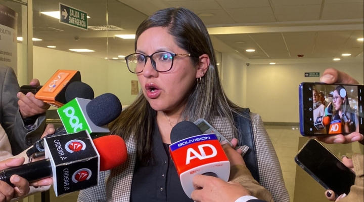 Diputada Claros pidió un informe oral al ministro de Hidrocarburos sobre el contrato con la empresa rusa por el litio