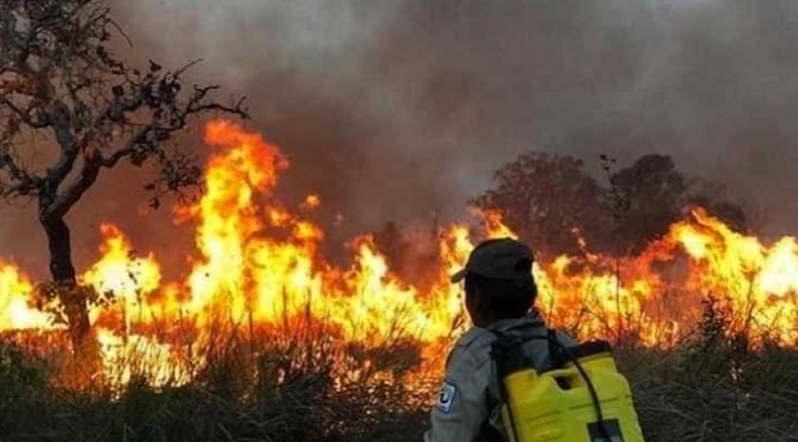 Informe de la FAN señala que más de cuatro millones de hectáreas en Bolivia fueron consumidas por el fuego