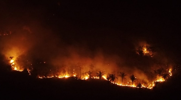 Conozca las “leyes incendiarias” vigentes desde Evo Morales y que movilizan a los activistas