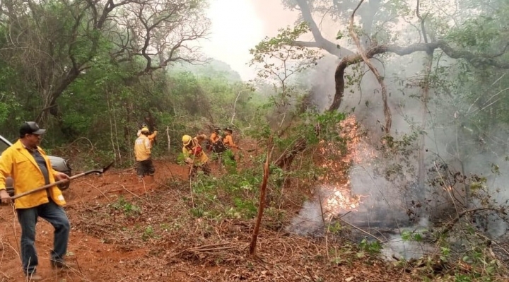 Responsabilidad de los incendios forestales divide opiniones entre nuestros lectores