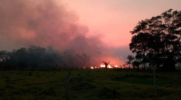 De aprobarse proyecto ley sobre incendios, en el futuro podría declararse cualquier chaqueo como ilegal