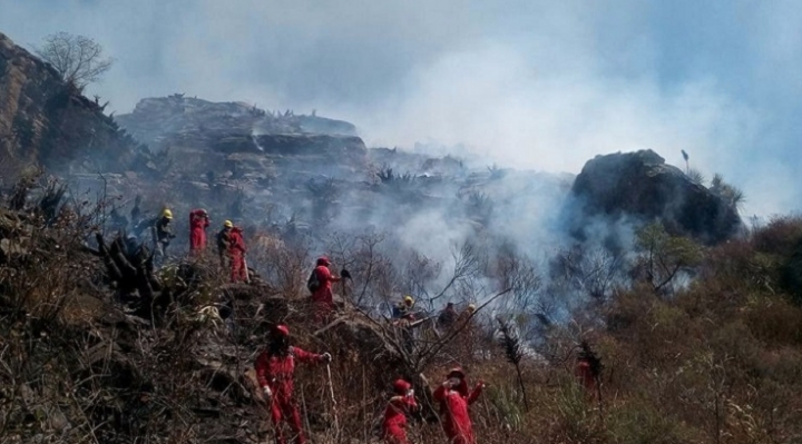 Incendios continúan en varias regiones del país, sectores anuncian marchas y exigen declaratoria de desastre nacional