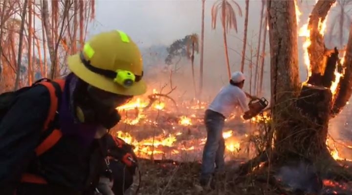 Dos meses después, el fuego continúa en 14 municipios de la Chiquitania; Concepción la más castigada
