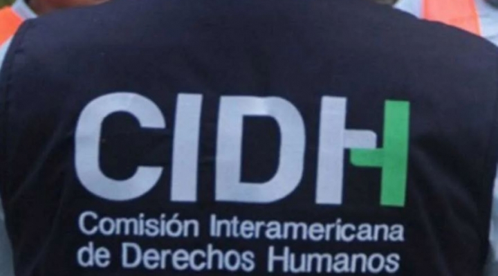 CIDH destaca que el TCP ya no permite la reelección indefinida y ratifica la prohibición