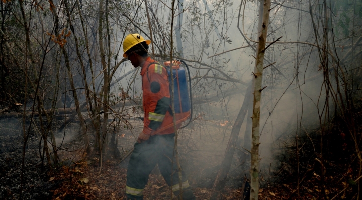 Defensor pide al Gobierno que declare desastre nacional por los incendios forestales