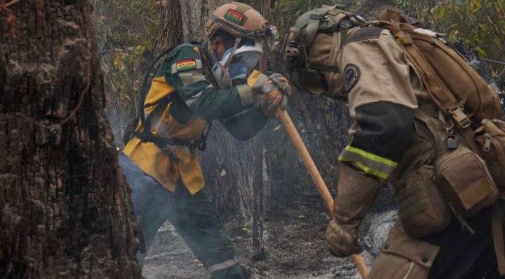 En Santa Cruz han sido devastadas por el fuego 7 millones de hectáreas, dijo el COED