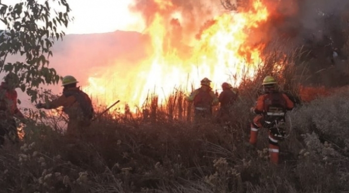 Comisión aprueba proyecto de ley que eleva a 12 años la pena por causar incendios forestales