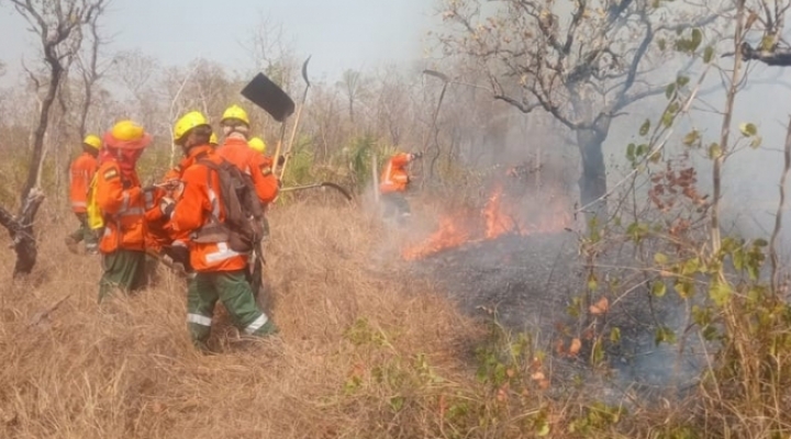 Productores advierten la pérdida de 1.540 cabezas de ganado por los incendios en el oriente