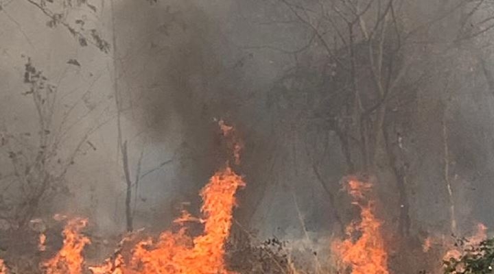 Kalimán dice que el fuego está “controlado” pero “no eliminado” en la Chiquitania