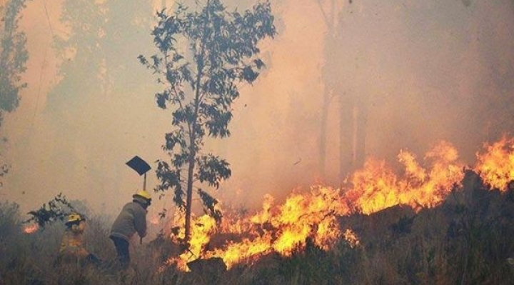 Los incendios no se detienen: En 10 días se quemaron 1,2 millones de hectáreas, el total llega a 5,3 millones