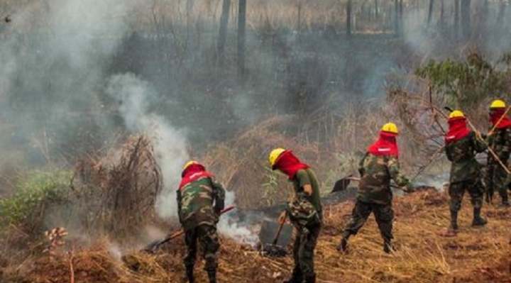 Falta de coordinación entre gobierno central y gobernación causa problema en trabajos de apagado de incendios en Chiquitanía
