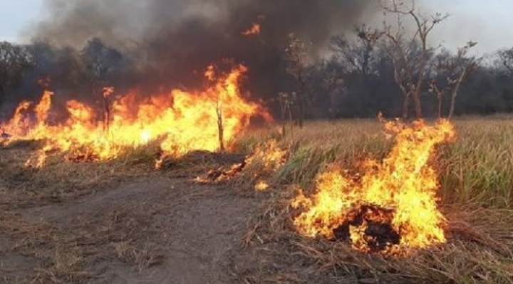 Diputados paraguayos creen que incendios en Bolivia provocaron los de Paraguay y piden resarcimientos