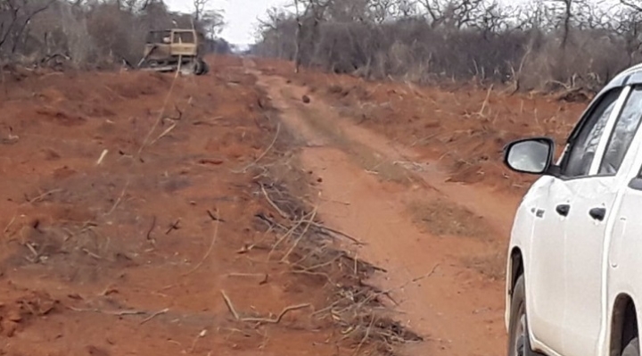 A pesar de discursos gubernamentales sobre conservación de parques naturales, surgen denuncias que militares abren camino en Parque Ñembi Guasu