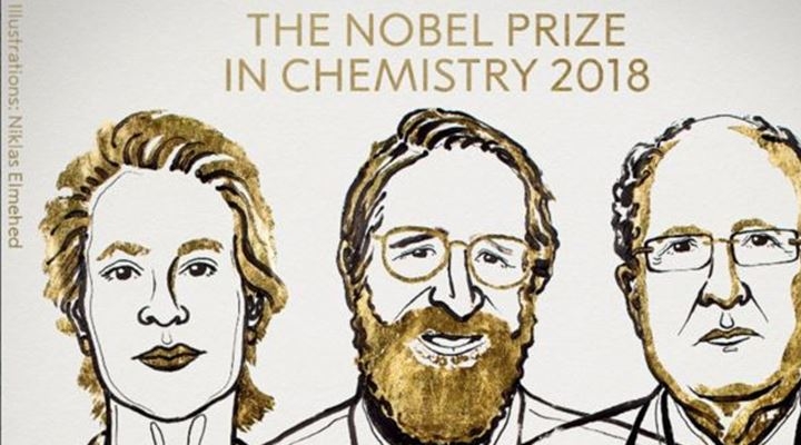 3 científicos ganan el Nobel de Química por aplicar el poder de la evolución para diseñar proteínas revolucionarias