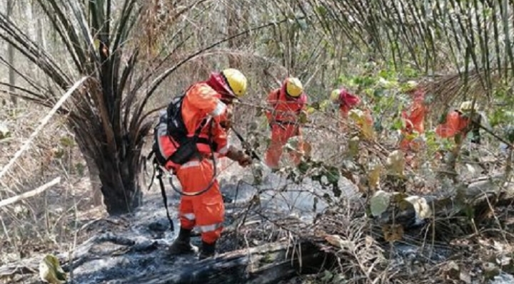 Gobernación cruceña informa que se reactivaron ocho focos de incendio en la Chiquitanía
