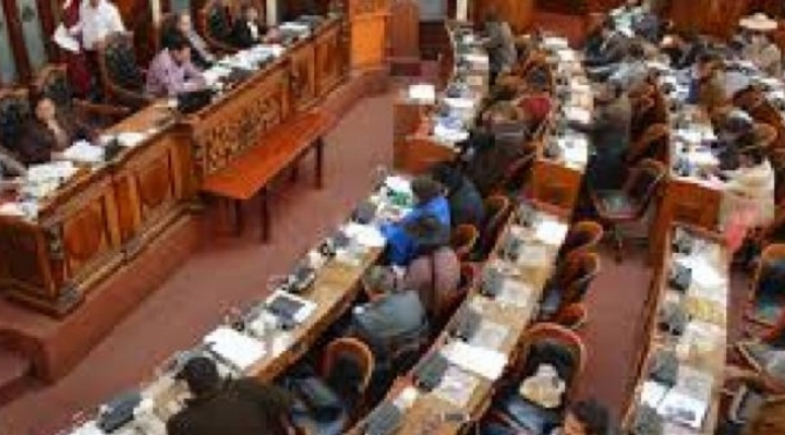 ALP convoca a sesión ordinaria para tratar convocatoria a Defensor del Pueblo, sin considerar crisis política y socia