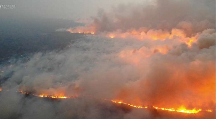 Incendio de la Chiquitania entre las catástrofes más devastadoras de 2019