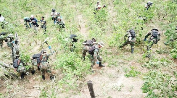 Ministro de Defensa informa que tareas de interdicción en el Chapare se ejecutan sin problemas
