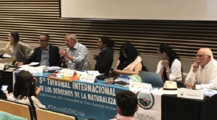 Misión del Tribunal Internacional de Derechos de la Naturaleza, visibilizará nuevamente “ecocidio” registrado en la Chiquitina