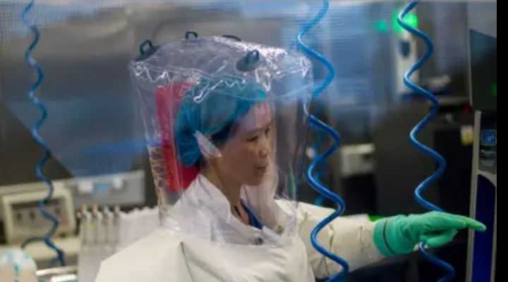 China demora la investigación sobre el origen del coronavirus