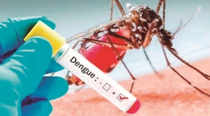 Nuevo problema, Bolivia suma 82.460 casos de dengue y OPS reporta nuevo brote en Latinoamérica