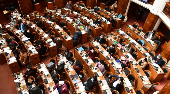 Diputados aprueban norma que modifica uso de presupuesto para bioseguridad en comicios