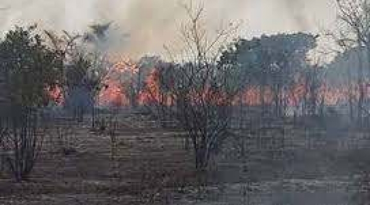 Incendios devoran unas 4.000 hectáreas del Parque Noel Kempff Mercado