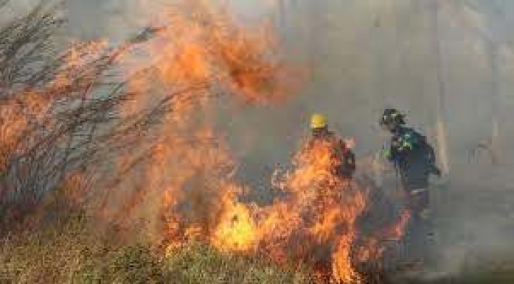 Gobernación de Santa Cruz emite declaratoria de Emergencia Departamental por incendios