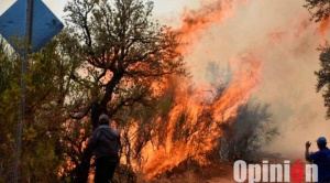 Reportan incendio en el parque Tunari, en Cochabamba