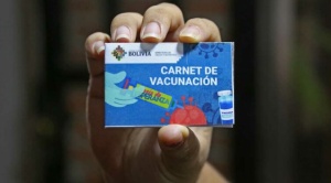 Piden retomar obligatoriedad del carnet anticovid