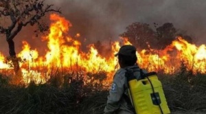 Cuatro municipios de Santa Cruz se declaran en desastre por voraces incendios forestales