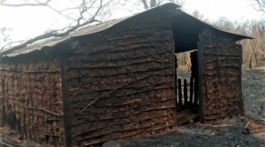 Comunidad indígena Tie Uña del pueblo Ayoreo fue afectada por los incendios forestales