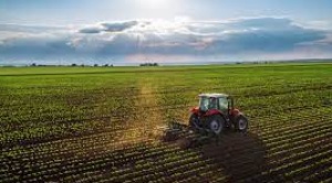 Agropecuarios del oriente advierten que la seguridad alimentaria en el país se encuentra en riesgo