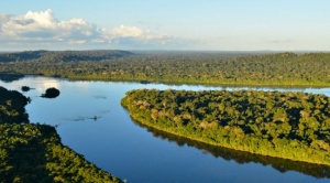 La deforestación en la Amazonía acelera el punto de no retorno, advierte WWF 1