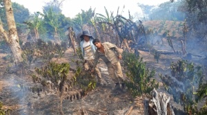 Cinco municipios yungueños se declaran en desastre por los incendios 1