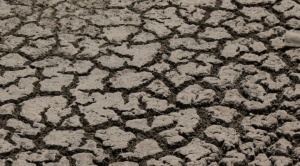 Bolivia: tres regiones sufren la peor sequía de los últimos 12 años y otras tres se acercan a niveles críticos 1