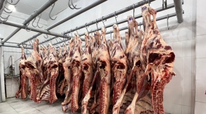Emapa distribuye carne de res para ser comercializado en mercados de La Paz y El Alto