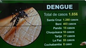 Bolivia reporta 1.856 casos de dengue; Santa Cruz es el más afectado