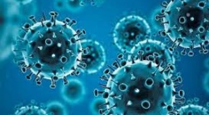 OPS: La pandemia del Covid-19 sigue constituyendo una emergencia de salud pública de importancia internacional 1