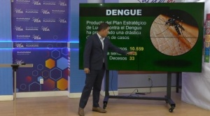 Casos de dengue en el país suman 10.559 y decesos llegan a 33