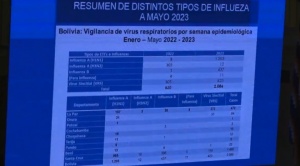 Contagio de distintas cepas de influenza se dispara, crece en 236% con relación a 2022