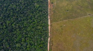 Bolivia rompe récord de deforestación con 583 mil has y 173 millones de Tn de emisiones de gases de efecto invernadero
