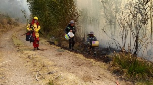 Gobernación de La Paz pide ayuda a bomberos de Perú para sofocar incendios en Yanacachi y Quime