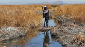 Por contaminación y sequía, Confederación de Campesinos pide a Arce declarar zona de desastre en el Lago